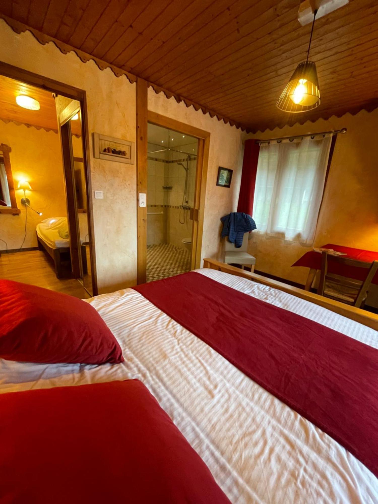 Hotel Le Ferraillon Abondance Ngoại thất bức ảnh